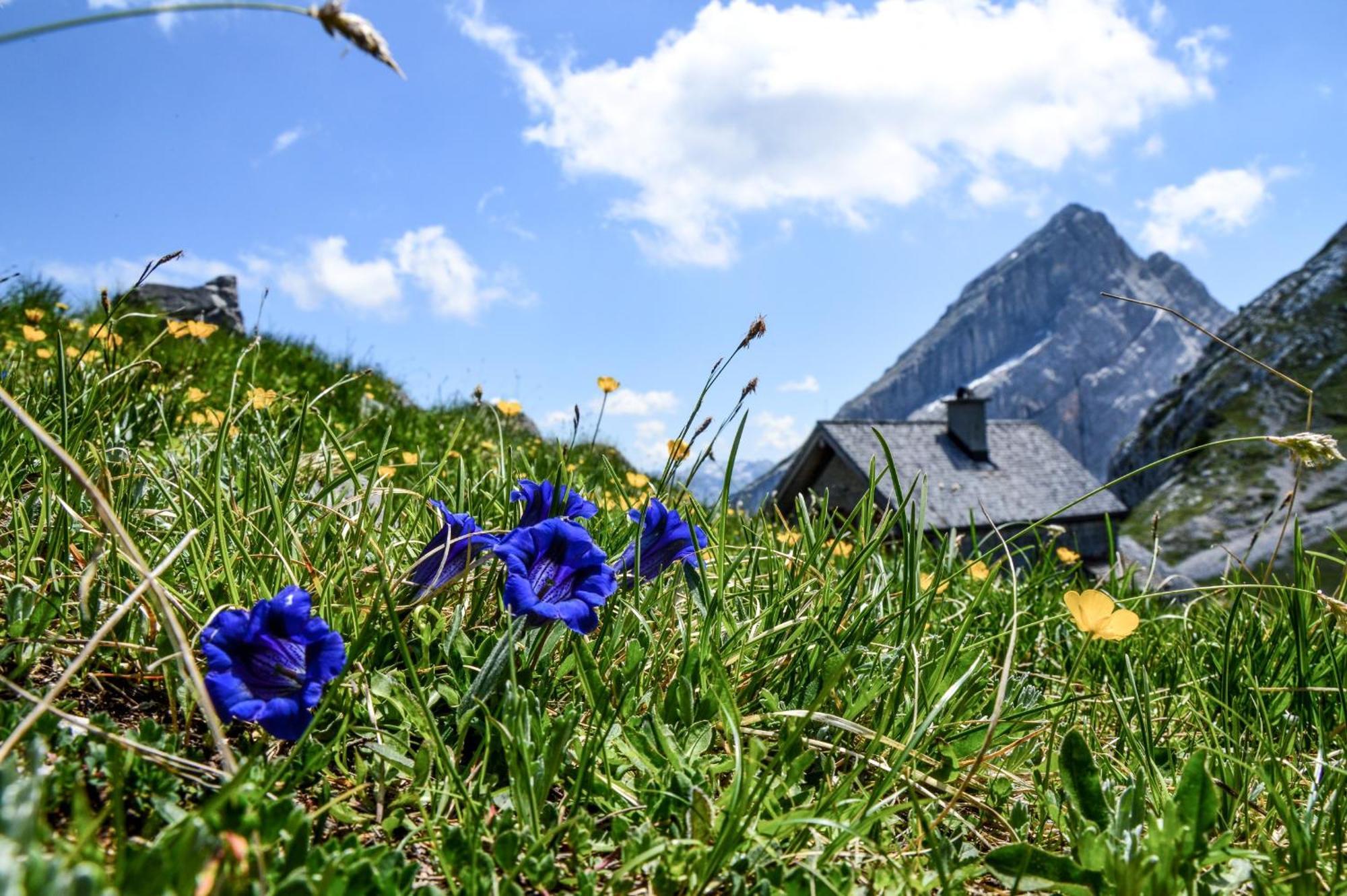 Ferienwohnung Fagstein Schönau am Königssee Εξωτερικό φωτογραφία